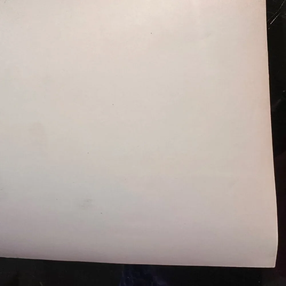 Vintage 1961 Warner Bros. Movie Still "Susan Slade" Featuring Connie Stevens & T - Picture 12 of 14